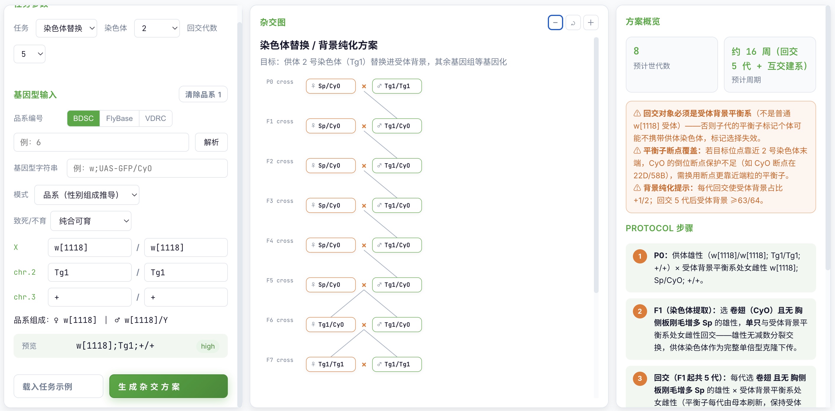 染色体替换 (replace) 任务典型杂交图示例